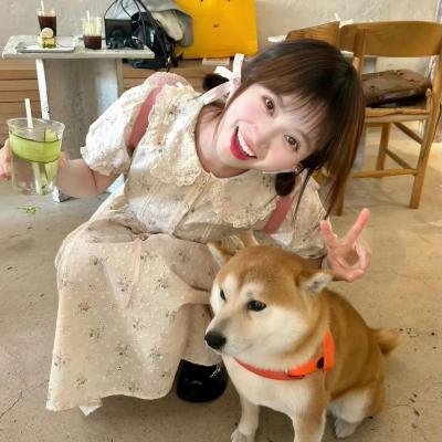 鲨与鲸